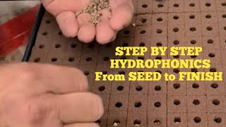 Hydroponic Seed to Finish STEP BY STEP [upl. by Anerhs969]