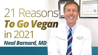 21 Reason To Go Vegan in 2021 [upl. by Elyl]