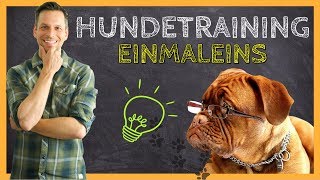 HUNDETRAINING Einmaleins  Grundlagen für eine ERFOLGREICHE Hundeerziehung [upl. by Kellby]