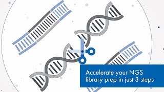 Accelerate your NGS library prep in just 3 steps  QIAGEN QIAseq FX DNA Library Kit [upl. by Nahtan]