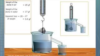 Verification of Archimedes Principle [upl. by Pattison726]