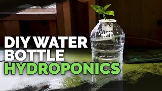 DIY Water Bottle Hydroponic System for Propagating and Herbs [upl. by Litnahc]