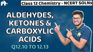 Aldehydes Ketone amp Carboxylic Acids Class 12  Chemistry Chapter 12 NCERT Solutions Questions 1013 [upl. by Chrissie]