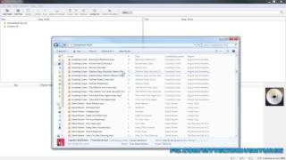 How to Automatically Tag and Organize a Music Library Including Genre PART 1 [upl. by Leahcir923]