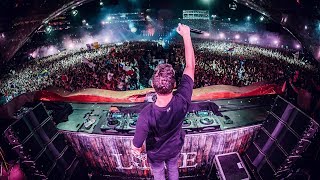 Martin Garrix ANIMALS LIVE TOMORROWLAND 2016 [upl. by Arok]