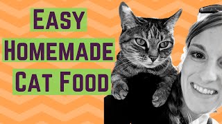 How to Make Homemade Raw Cat Food  The Recipe That Drastically IMPROVED MY CATS HEALTH [upl. by Oisorbma783]