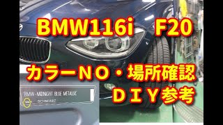 BMW 116i F20 カラーＮＯ・カラー番号・色番号 場所確認 ＤＩＹ [upl. by Rozalin]