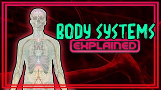 Body Systems Explained [upl. by Raines668]