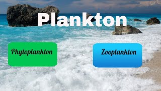 Difference between Zooplankton and Phytoplankton [upl. by Nitsuga]