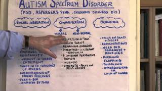 What Is Autism Spectrum Disorder [upl. by Hsima]