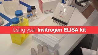 Using your Invitrogen ELISA kit [upl. by Nivlem]