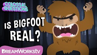 Could Bigfoot Be Real  COLOSSAL QUESTIONS [upl. by Adias]