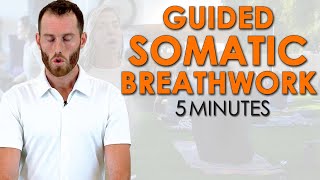 5 MIN Guided Somatic Release Breathwork Meditation [upl. by Dalston]