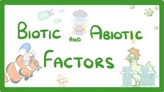 GCSE Biology  Biotic and Abiotic Factors 83 [upl. by Ameyn]