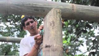 Cabañas de bambú Hacienda Pepepán [upl. by Herald]