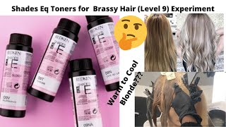 Shades Eq Toners for Brassy Hair Level 9 Experiment [upl. by Kcinimod]