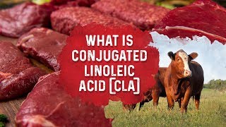 What Is Conjugated Linoleic Acid – Dr Berg [upl. by Eilhsa905]