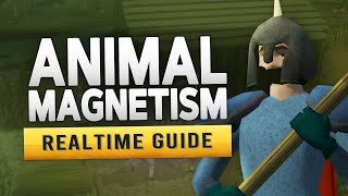 RS3 Animal Magnetism – Realtime Quest Guide [upl. by Ortrud]