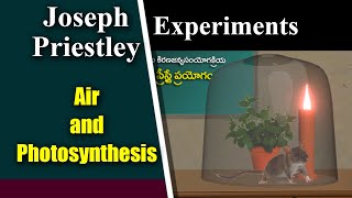 Joseph Priestley Experiment [upl. by Introk94]