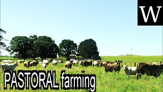 PASTORAL farming  WikiVidi Documentary [upl. by Simons]