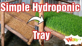 Simple Homemade Hydroponic Fodder Tray Making [upl. by Eecats]