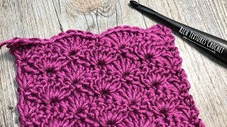 How to Crochet the Solid Shell Stitch [upl. by Erodasi162]