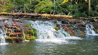 Waterfall Creek Fishing [upl. by Ferriter64]