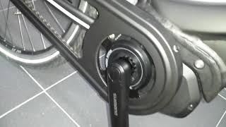 Shimano Steps problem [upl. by Noletta]