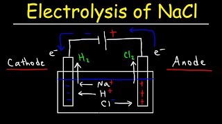 Electrolysis of Sodium Chloride  Electrochemistry [upl. by Stephi]