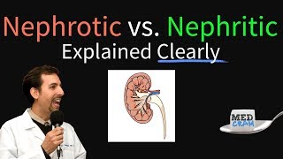 Nephrotic Syndrome vs Nephritic Syndrome Explained Nephritic vs Nephrotic [upl. by Dyoll26]