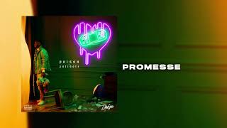 DADJU  Promesse Audio Officiel [upl. by Ferriter]