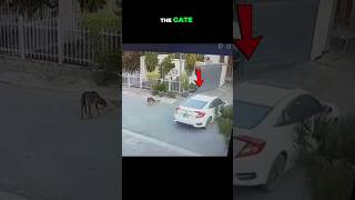 Carjack Attempt Caught on CCTV [upl. by Anauj948]