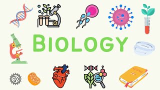 5 A Level Biology  Infectious Diseases 🦠 [upl. by Dobbins]