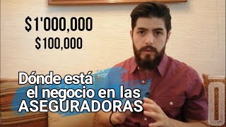 ¿Cómo ganan dinero las aseguradoras  El Barbón Financiero [upl. by Nylrad]