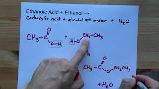 Ethanoic Acid  Ethanol   Ester Reaction [upl. by Drawyah]