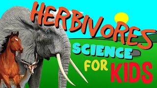 What is a Herbivore  Science for Kids [upl. by Monjo]