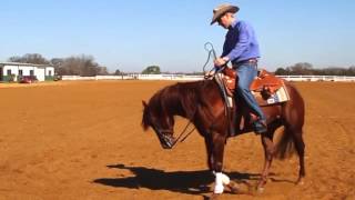 Fundamentals to Reining by Fred Thomsson [upl. by Hsotnas]