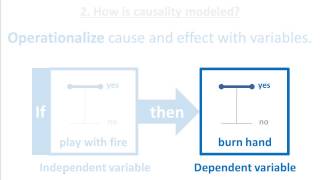 Causal Relationship  1 Introduction [upl. by Aniratac]