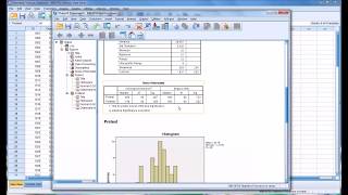 Normality Tests in SPSS [upl. by Akerdnahs626]