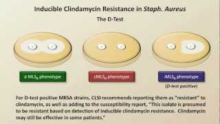 Antibiotic Resistance Antibiotics  Lecture 9 [upl. by Danit]