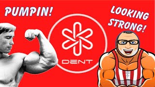 DENT COIN TIME TO PUMP [upl. by Wong594]