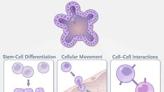 Organoid Technologies in Research [upl. by Freed]