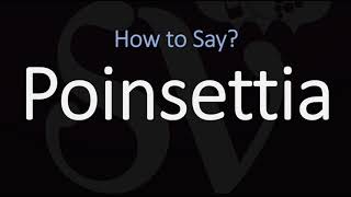 How to Pronounce Poinsettia CORRECTLY [upl. by Latnahc]