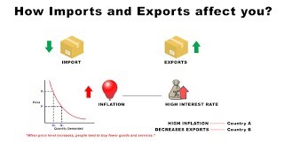 Importance of Imports in International Trade [upl. by Lawrenson176]