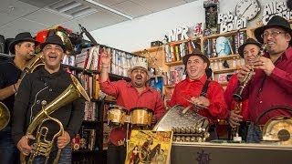 Fanfare Ciocarlia NPR Music Tiny Desk Concert [upl. by Laeria]