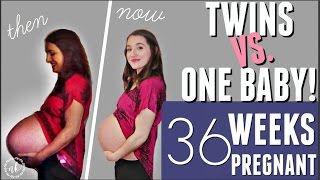 TWINS VS ONE BABY Comparing my Pregnancies  WEEK 36 UPDATE [upl. by Eilloh]