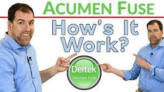 How To Run a Schedule Check Using Deltek Acumen Fuse [upl. by Callan]