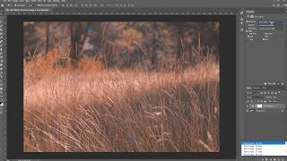 How to Install amp Use LUTs in Photoshop for PC  MAC [upl. by Hnid772]