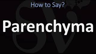 How to Pronounce Parenchyma CORRECTLY [upl. by Mara401]