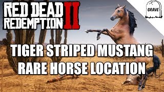 Rare Tiger Striped Mustang Location Red Dead Redemption 2 Horse Guide [upl. by Lexi647]